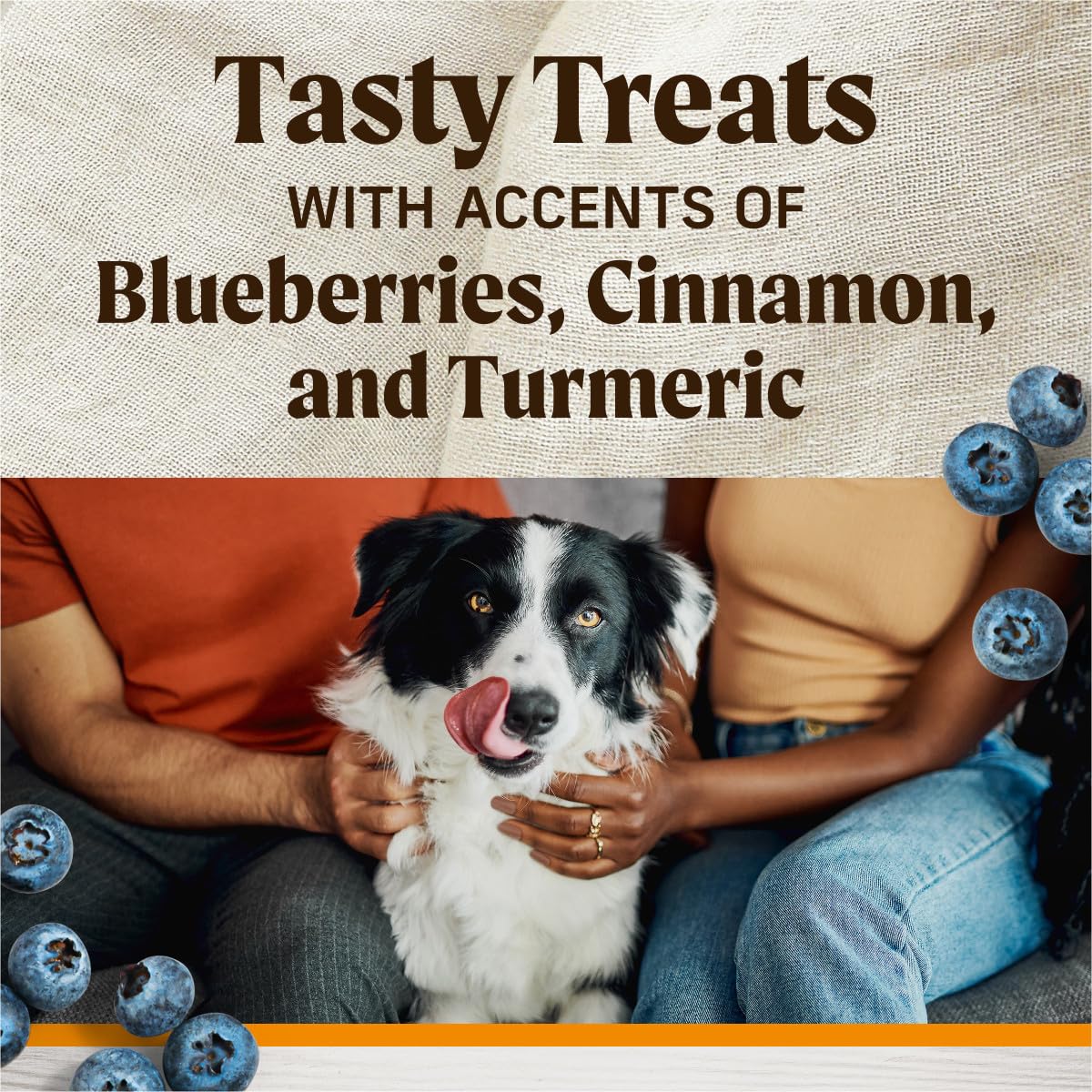 Healthy Bites Grain Free Dog Treats, Soft Treats With Bone Broth for Dogs, Chicken And Bone Broth Recipe - 16 oz. Pouch - Image 7