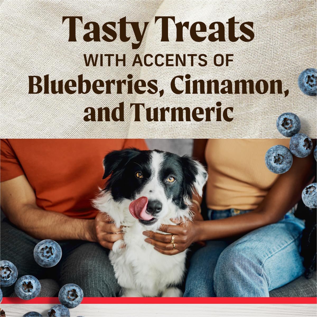 Healthy Bites Grain Free Dog Treats, Soft Treats with Bone Broth for Dogs, Beef and Bone Broth Recipe - 6 oz. Pouch - Image 7