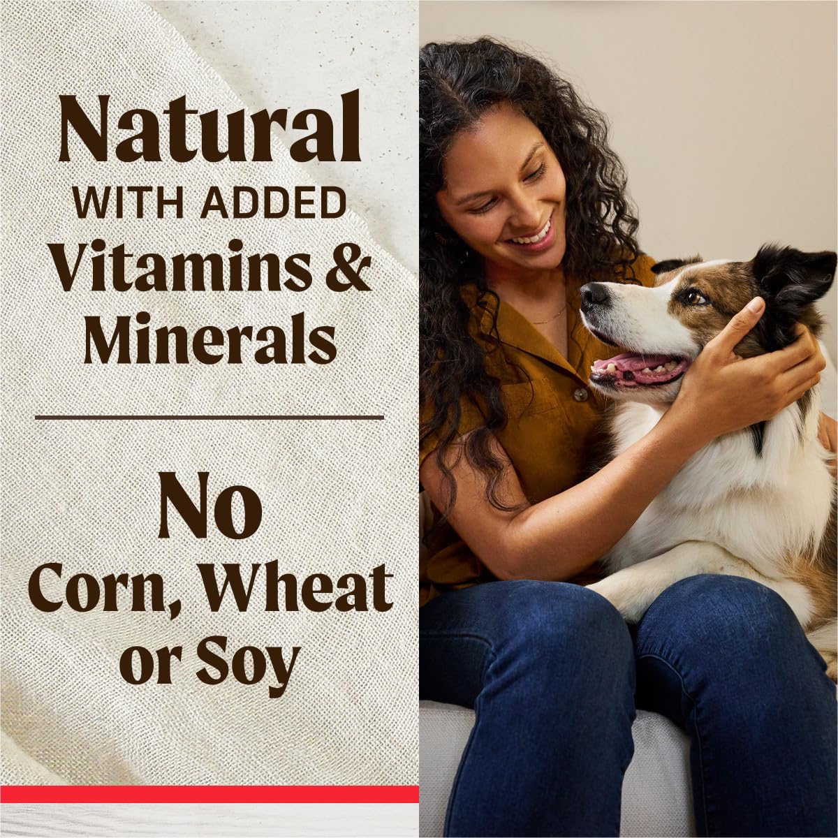 Healthy Bites Grain Free Dog Treats, Soft Treats with Bone Broth for Dogs, Beef and Bone Broth Recipe - 6 oz. Pouch - Image 8