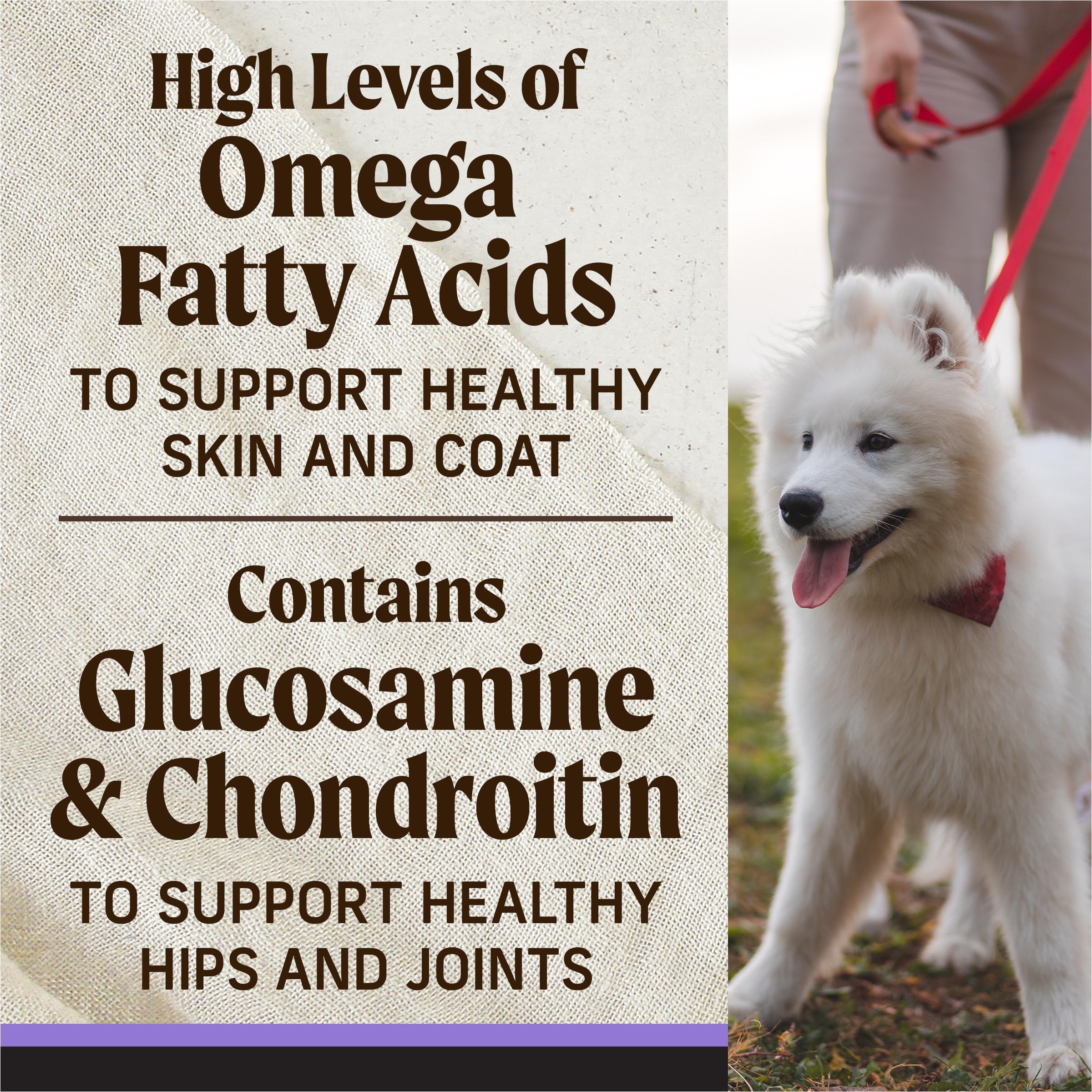 Merrick Backcountry Grain Free Dry Puppy Dog Food, Kibble with Freeze Dried Raw Pieces, Chicken Recipe - 20.0 lb. Bag - Image 8