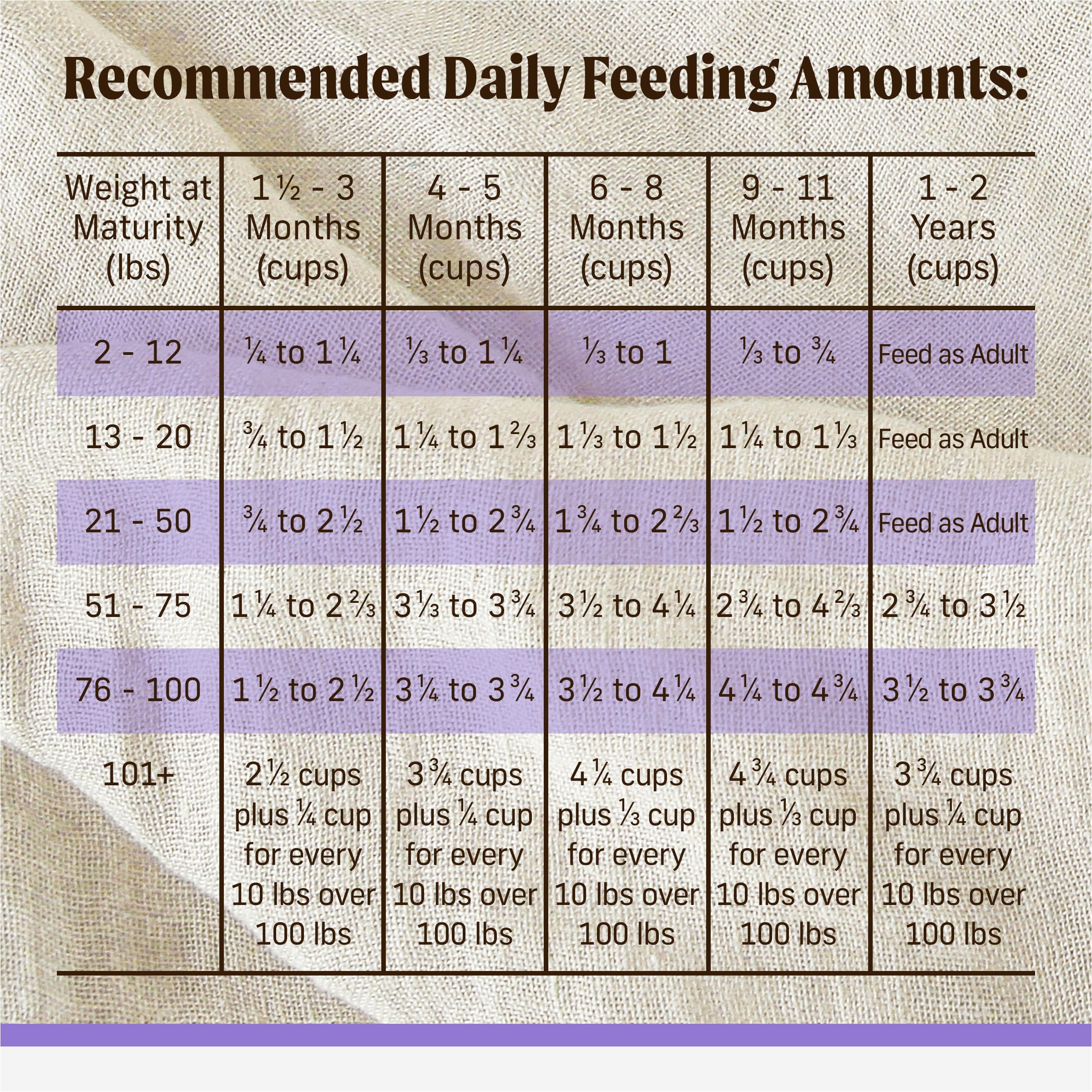 Merrick Backcountry Healthy Grains Premium Dry Puppy Food, Kibble with Freeze Dried Raw Pieces, Chicken - 10.0 lb. Bag - Image 10
