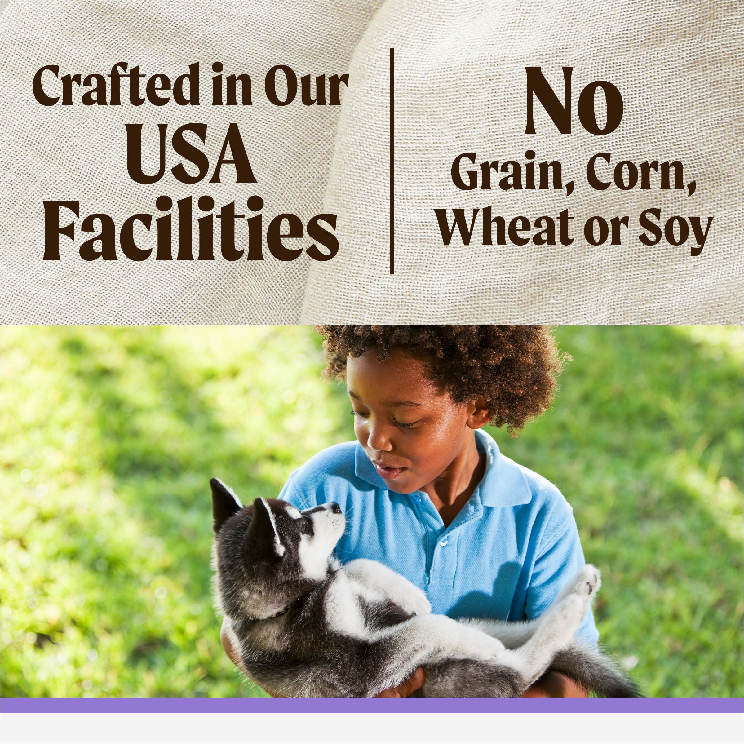 Merrick Backcountry Healthy Grains Premium Dry Puppy Food, Kibble with Freeze Dried Raw Pieces, Chicken - 10.0 lb. Bag - Image 11