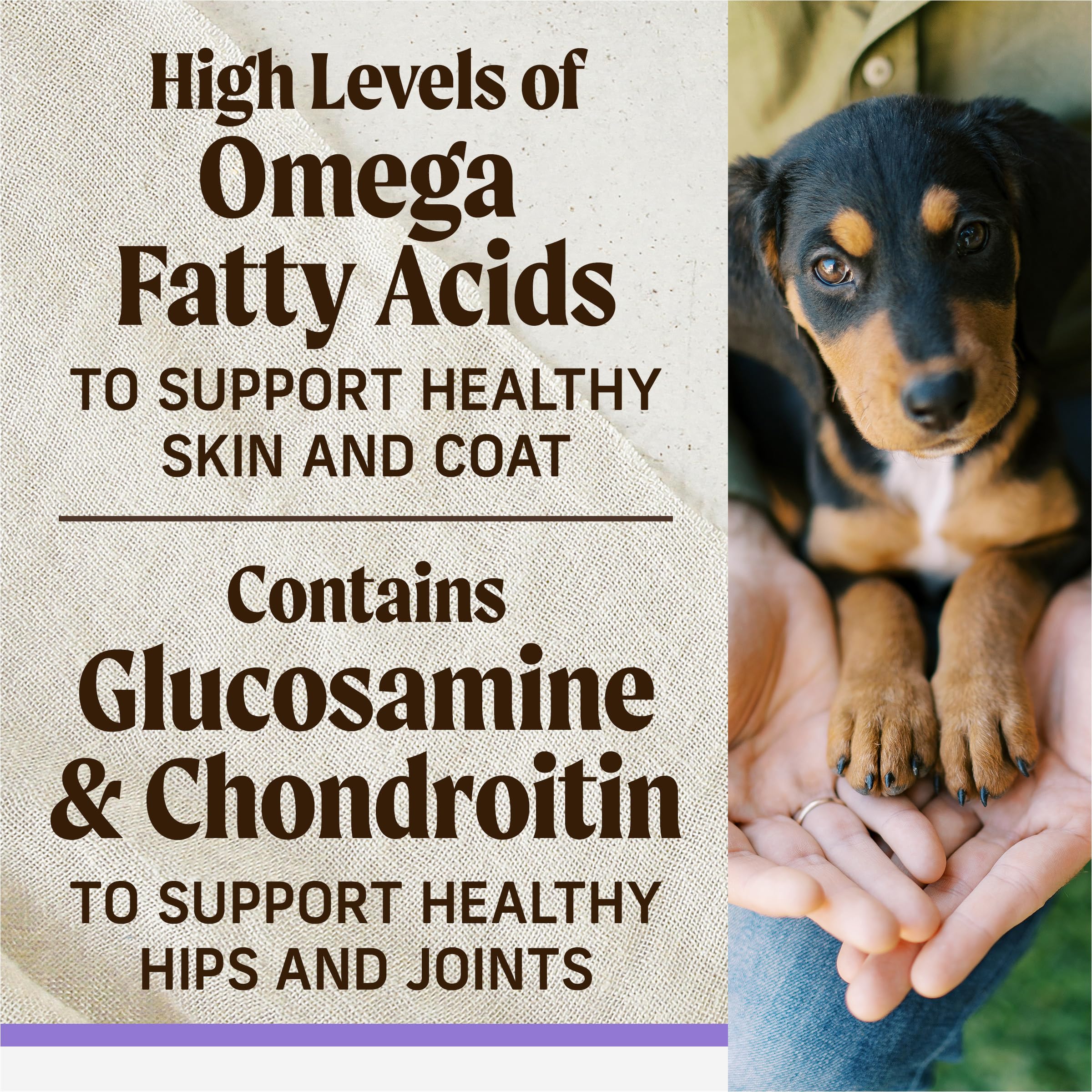 Merrick Backcountry Healthy Grains Premium Dry Puppy Food, Kibble with Freeze Dried Raw Pieces, Chicken - 10.0 lb. Bag - Image 9