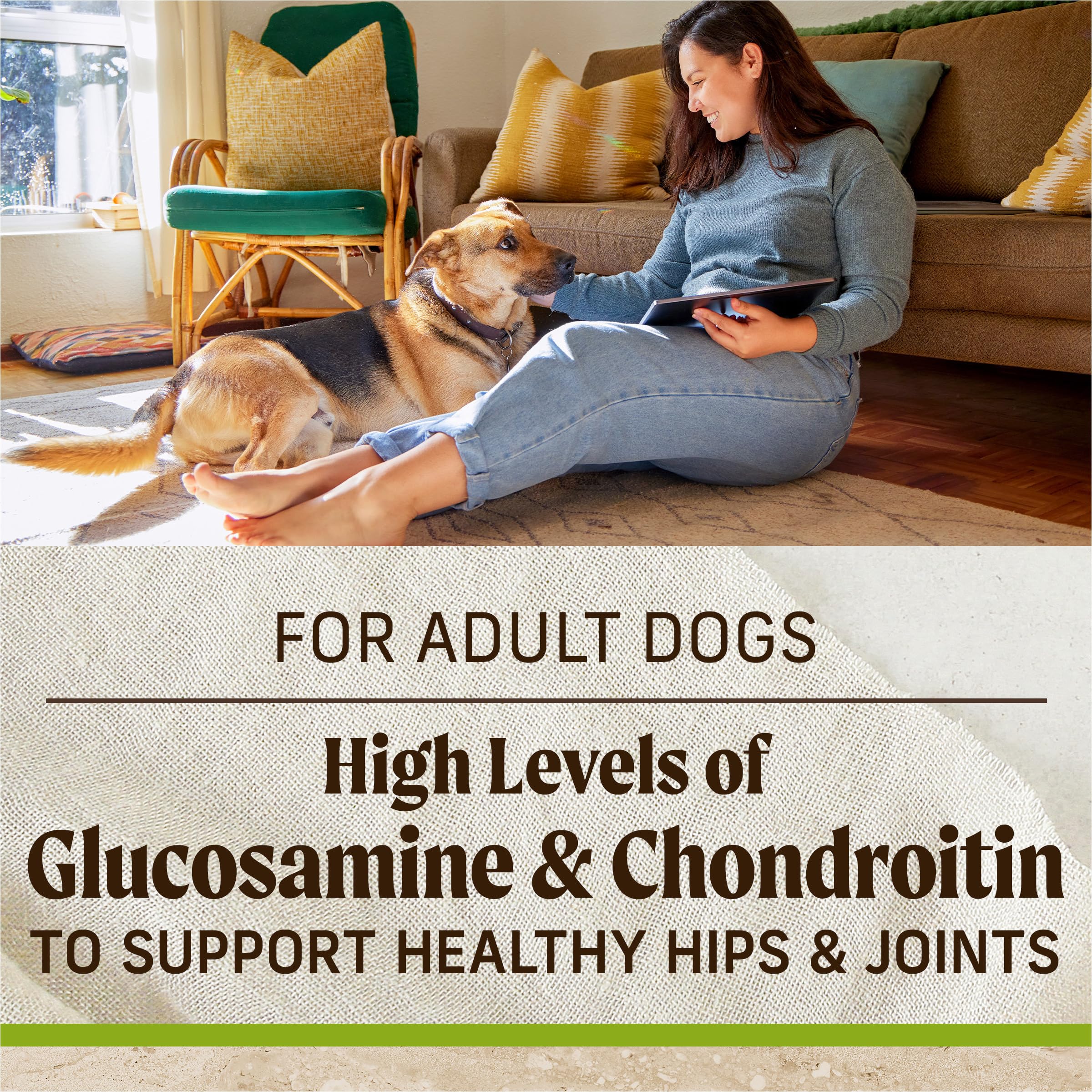 Merrick Healthy Grains Premium Adult Dry Dog Food, Wholesome And Natural Kibble With Lamb And Brown Rice - 4.0 lb. Bag - Image 9