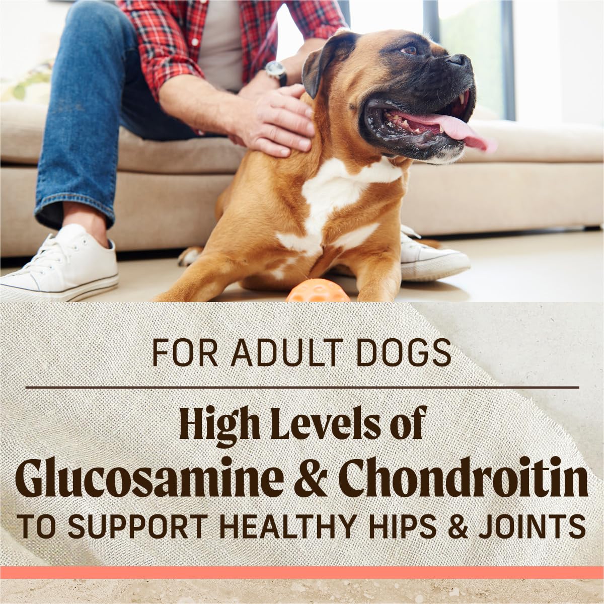 Merrick Healthy Grains Premium Adult Dry Dog Food, Wholesome And Natural Kibble With Salmon And Brown Rice - 4.0 lb. Bag - Image 8