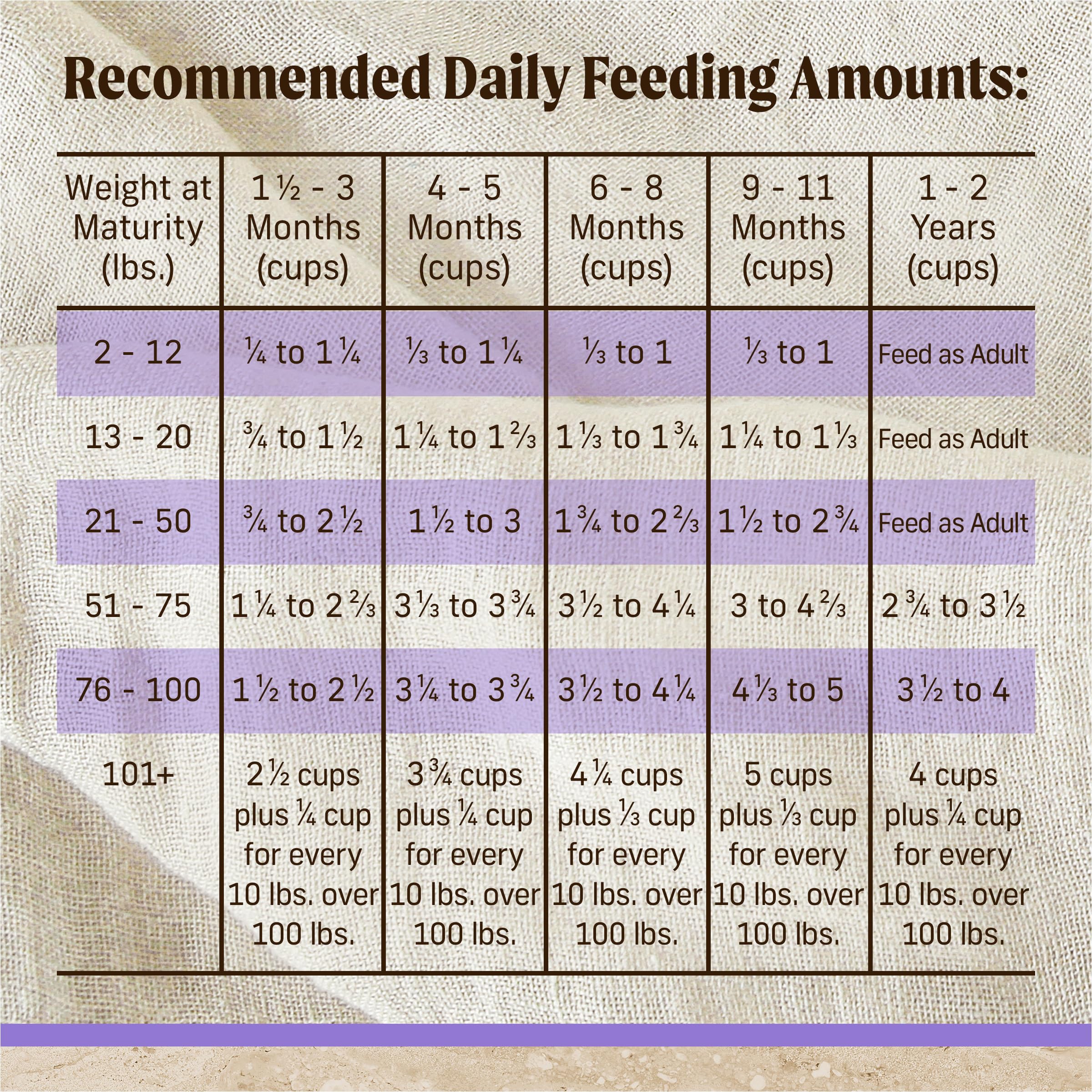 Merrick Healthy Grains Premium Dry Dog Food, Wholesome And Natural Kibble For Healthy Digestion, Puppy Recipe - 12.0 lb. Bag - Image 10