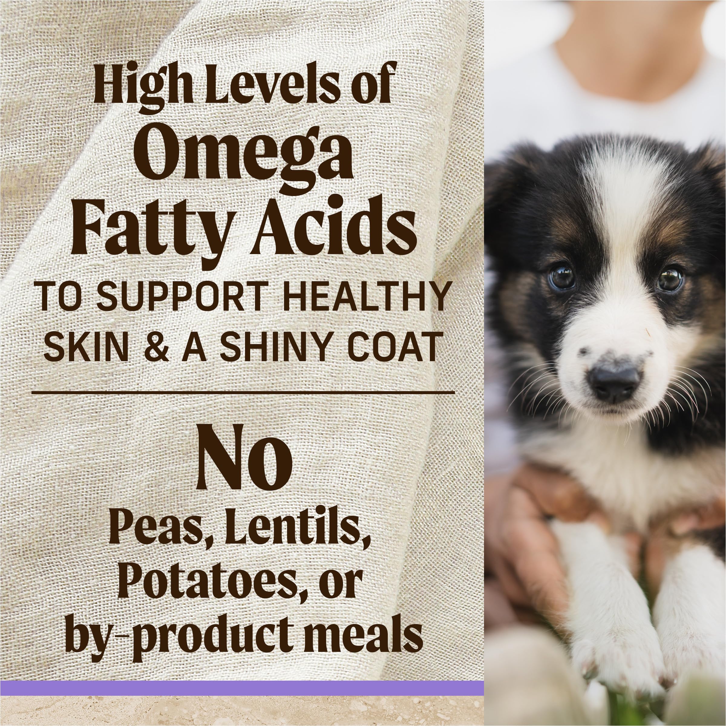 Merrick Healthy Grains Premium Dry Dog Food, Wholesome And Natural Kibble For Healthy Digestion, Puppy Recipe - 12.0 lb. Bag - Image 11