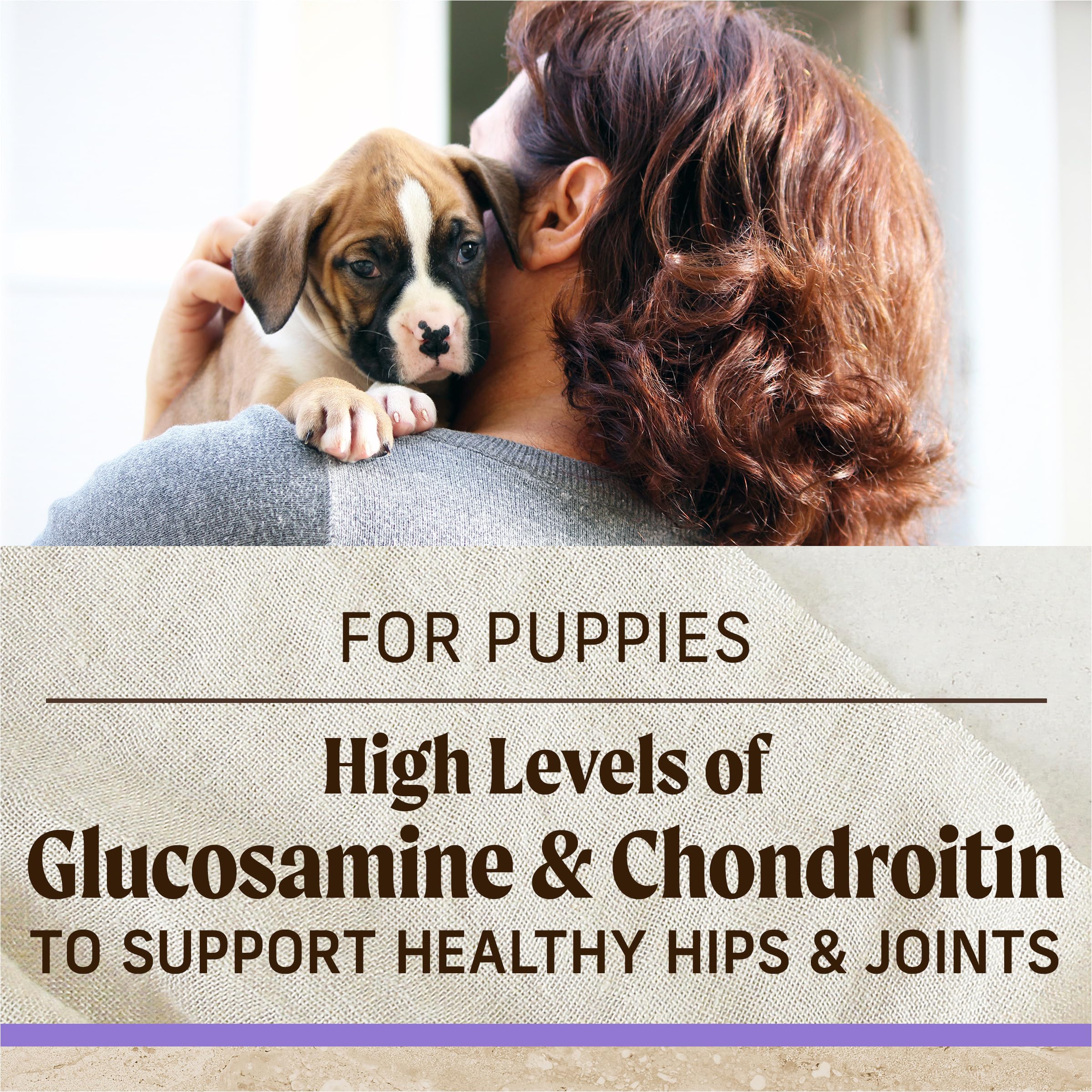 Merrick Healthy Grains Premium Dry Dog Food, Wholesome And Natural Kibble For Healthy Digestion, Puppy Recipe - 12.0 lb. Bag - Image 9