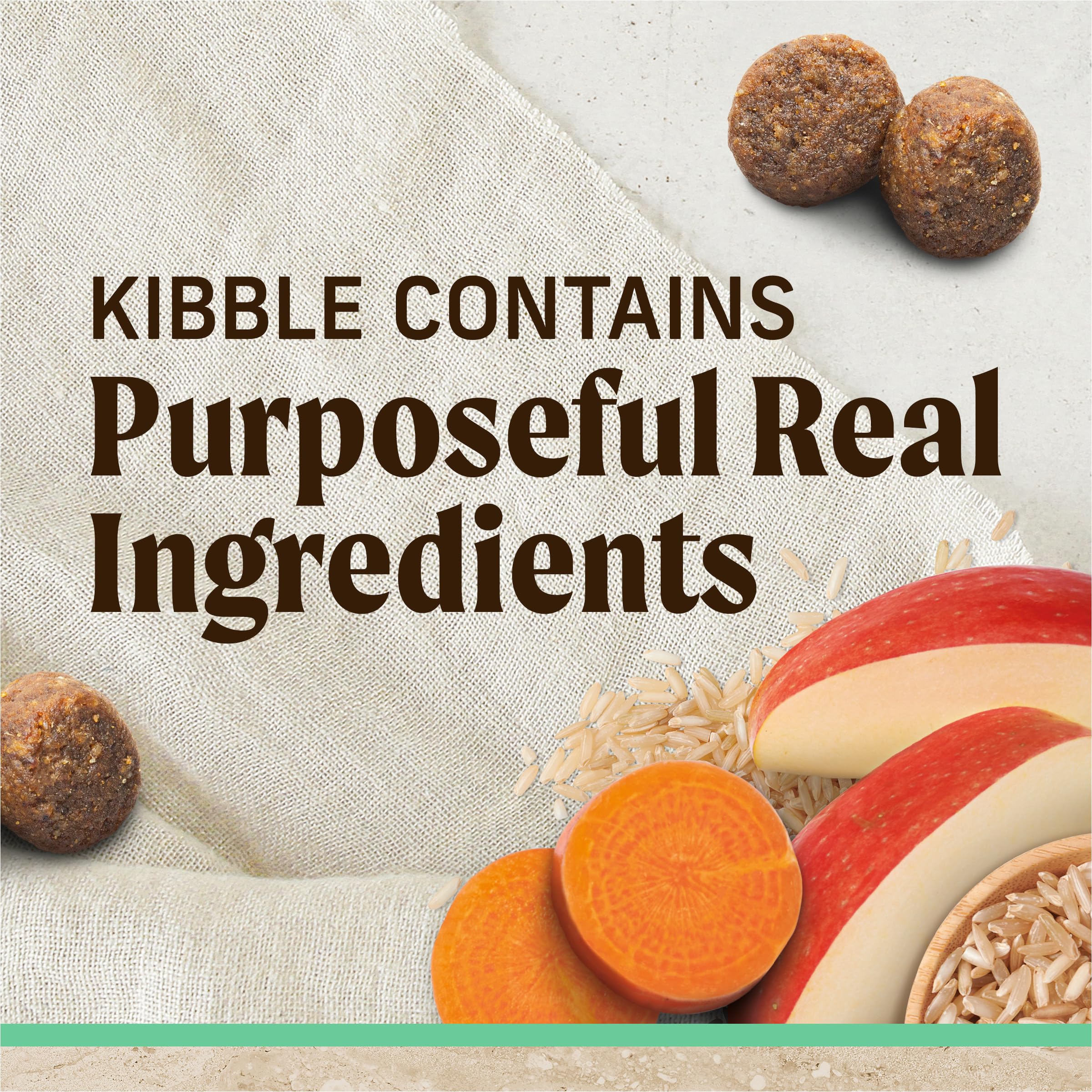 Merrick Healthy Grains Premium Dry Dog Food, Wholesome and Natural Dry Chicken Kibble, Senior Recipe - 25.0 lb. Bag - Image 6