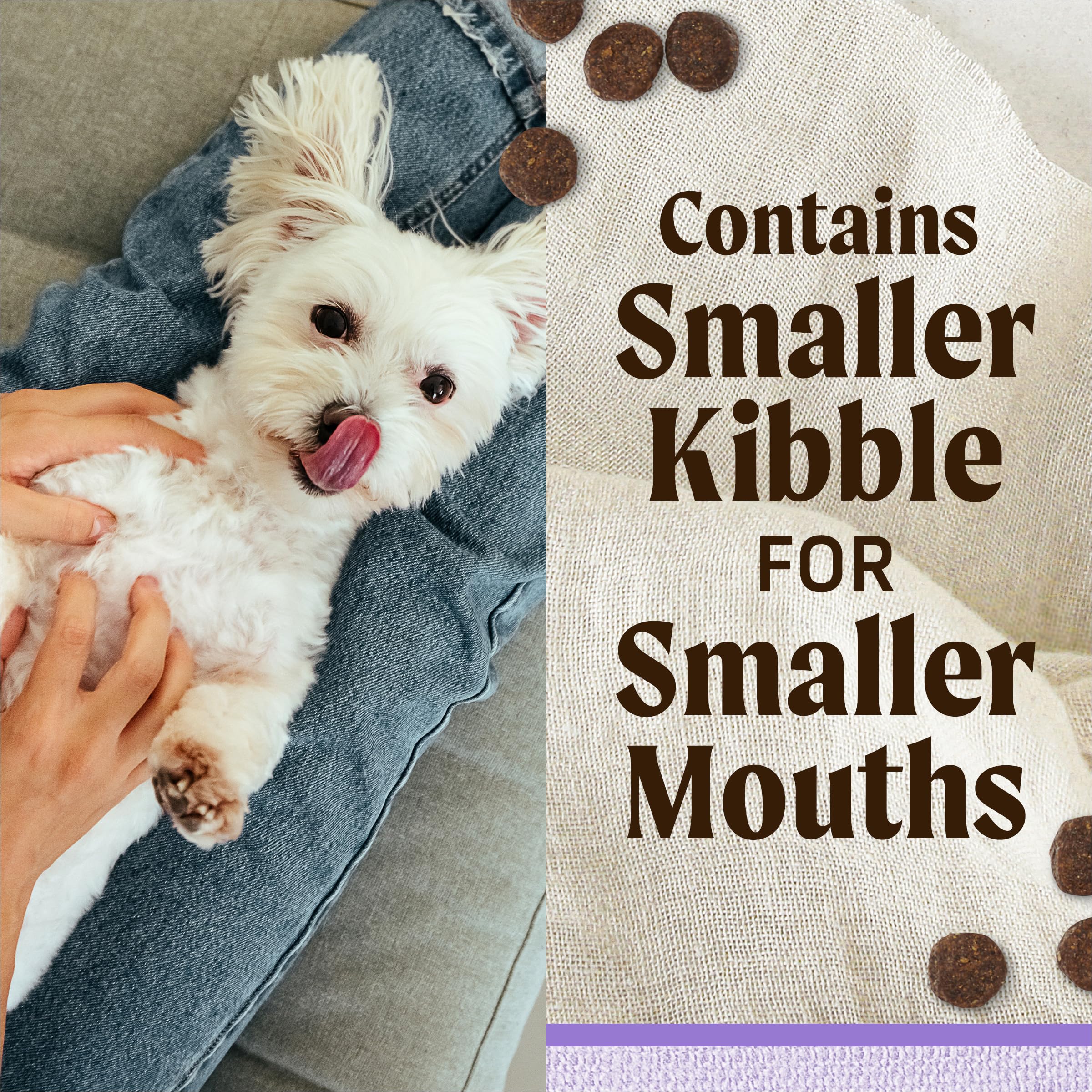 Merrick Lil’ Plates Premium Grain Free Dry Puppy Food for Small Dogs, Real Chicken and Sweet Potato Kibble - 12.0 lb. Bag - Image 6