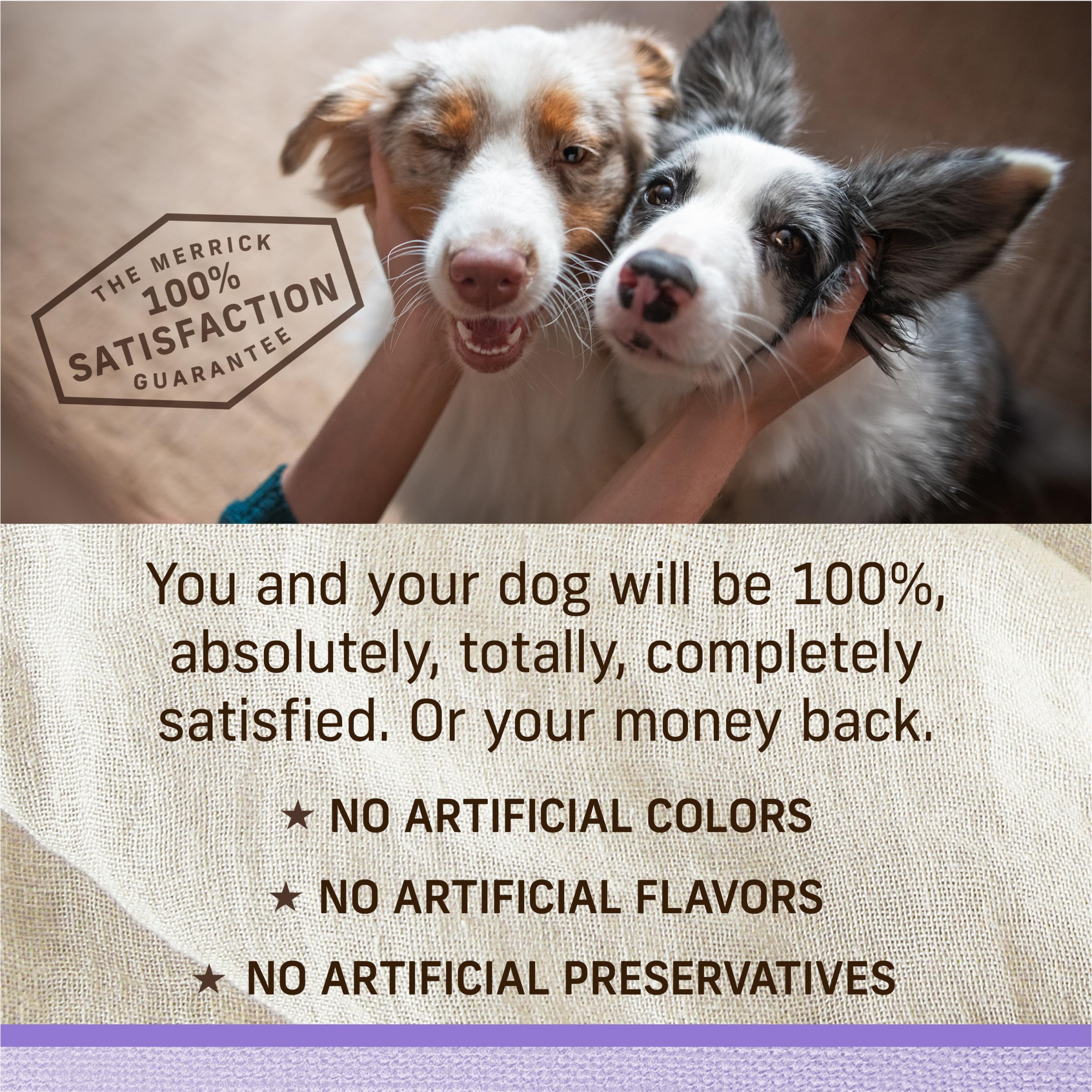 Merrick Lil Plates Wet Dog Food for Small Breed Puppies, Pint-Sized Puppy Plate in Gravy with Real Deboned Chicken, 3.5 oz Tub - Image 11