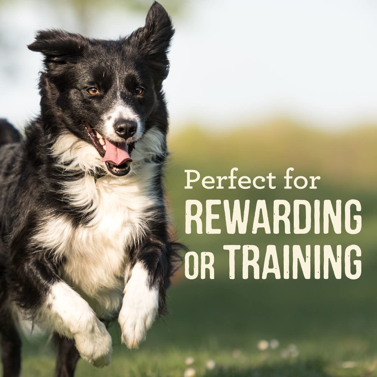 Merrick Power Bites Natural Soft And Chewy Real Meat Dog Treats, Grain Free Snack, Real Turducken Recipe - 6 oz. Bag - Image 6