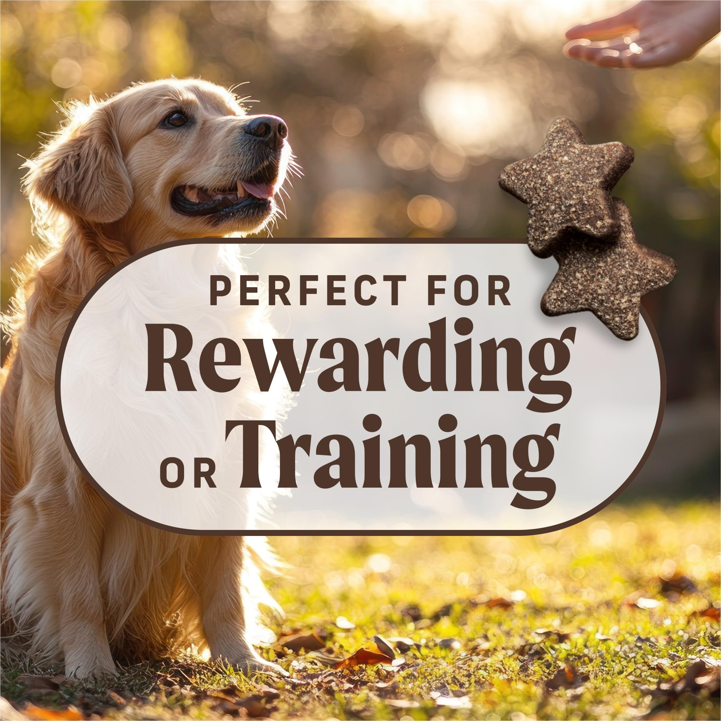 Merrick Power Bites Natural Soft And Chewy Real Meat Dog Treats, Grain Free Snack With Real Beef Recipe - 6 oz. Bag - Image 5