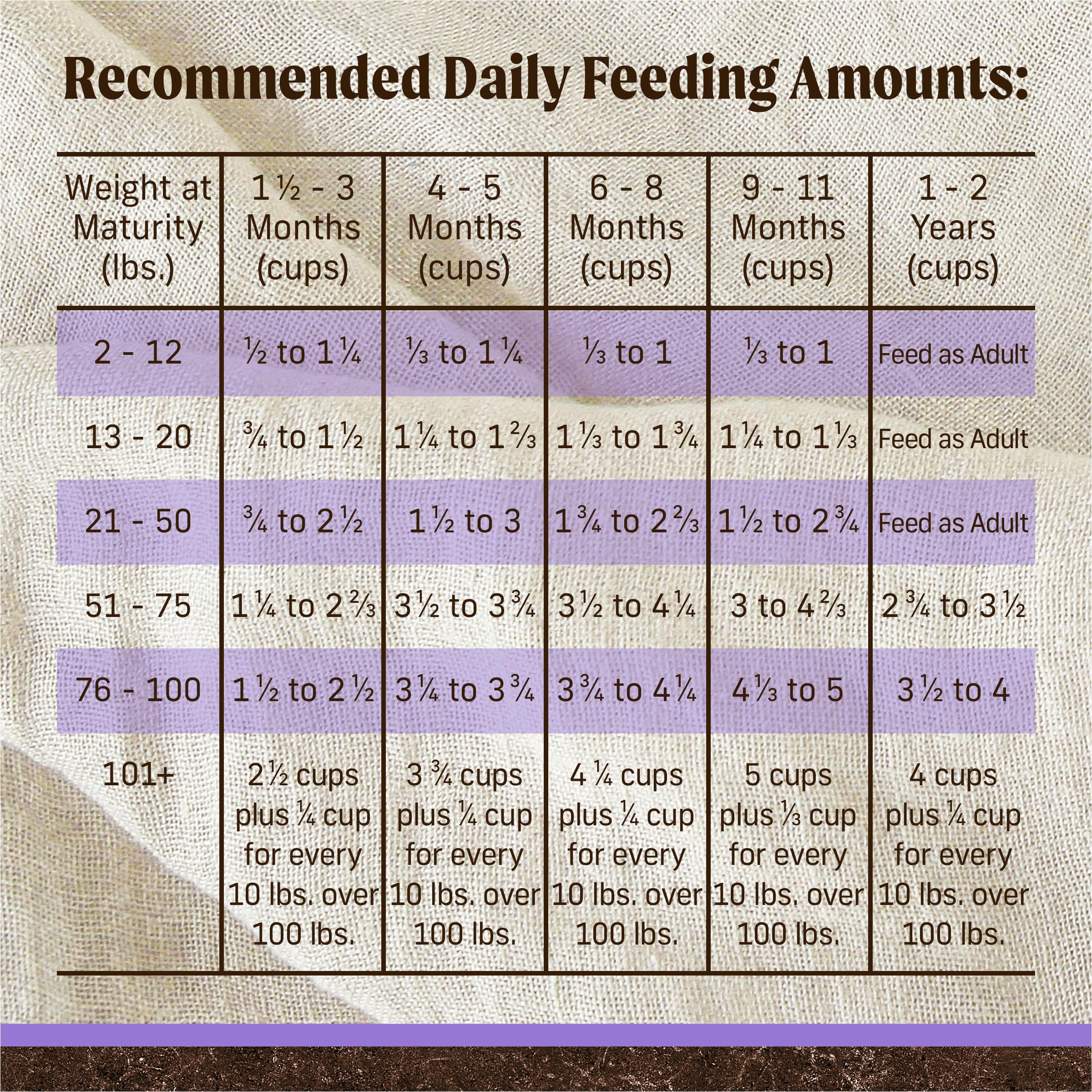 Merrick Premium Grain Free Dry Puppy Food, Wholesome And Natural Kibble With Real Chicken and Sweet Potato - 22.0 lb. Bag - Image 5
