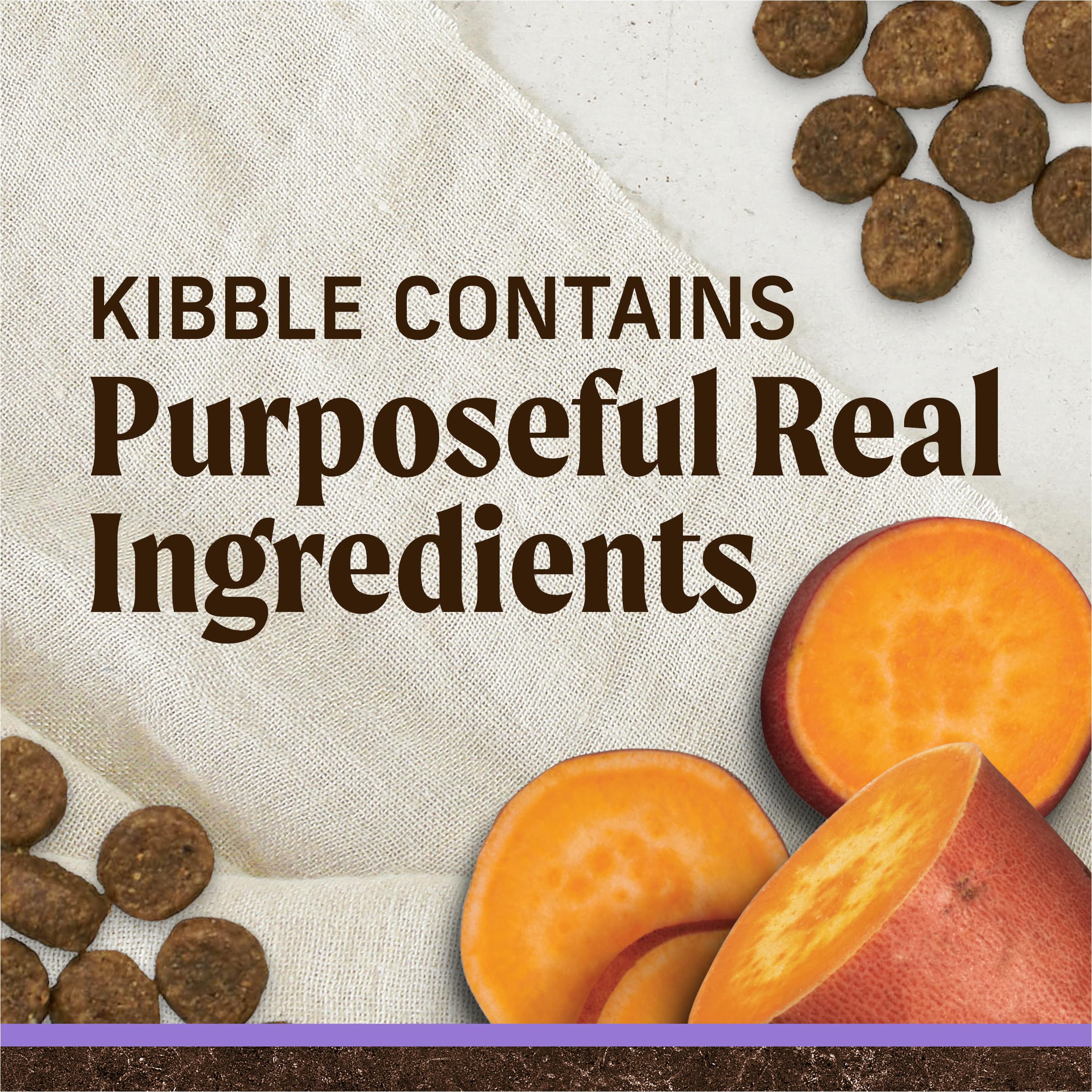 Merrick Premium Grain Free Dry Puppy Food, Wholesome And Natural Kibble With Real Chicken and Sweet Potato - 22.0 lb. Bag - Image 6