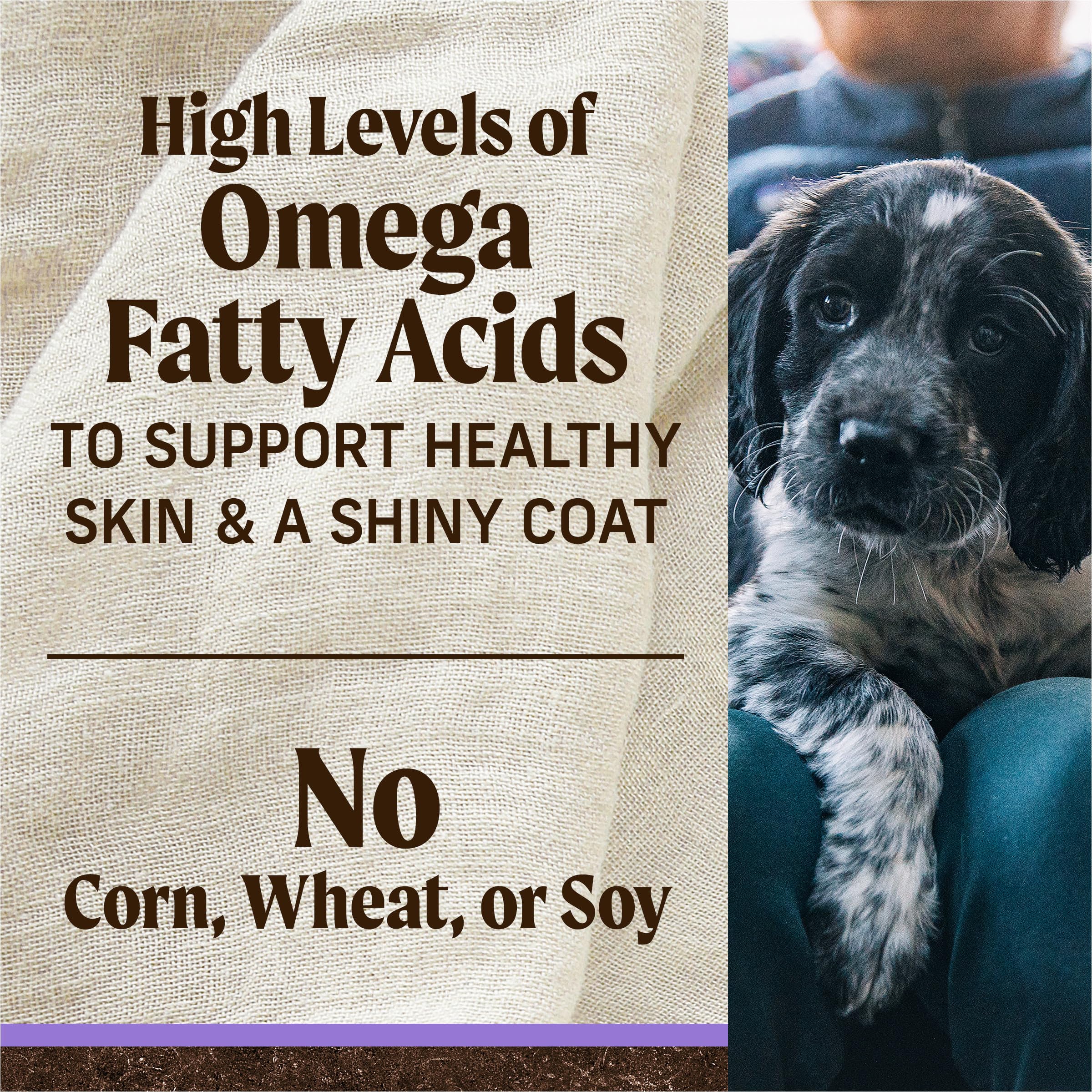 Merrick Premium Grain Free Dry Puppy Food, Wholesome And Natural Kibble With Real Chicken and Sweet Potato - 22.0 lb. Bag - Image 9