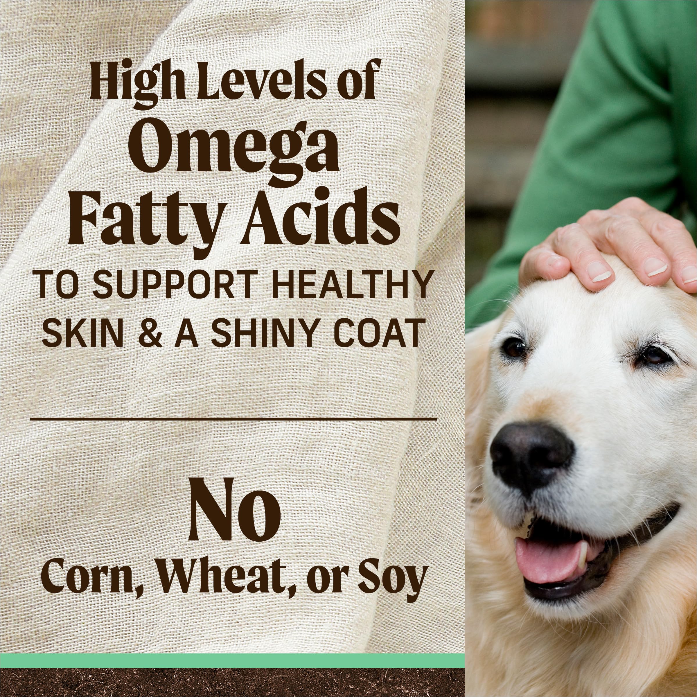 Merrick Premium Grain Free Dry Senior Dog Food, Wholesome and Natural Kibble, Real Chicken and Sweet Potato - 22.0 lb. Bag - Image 9