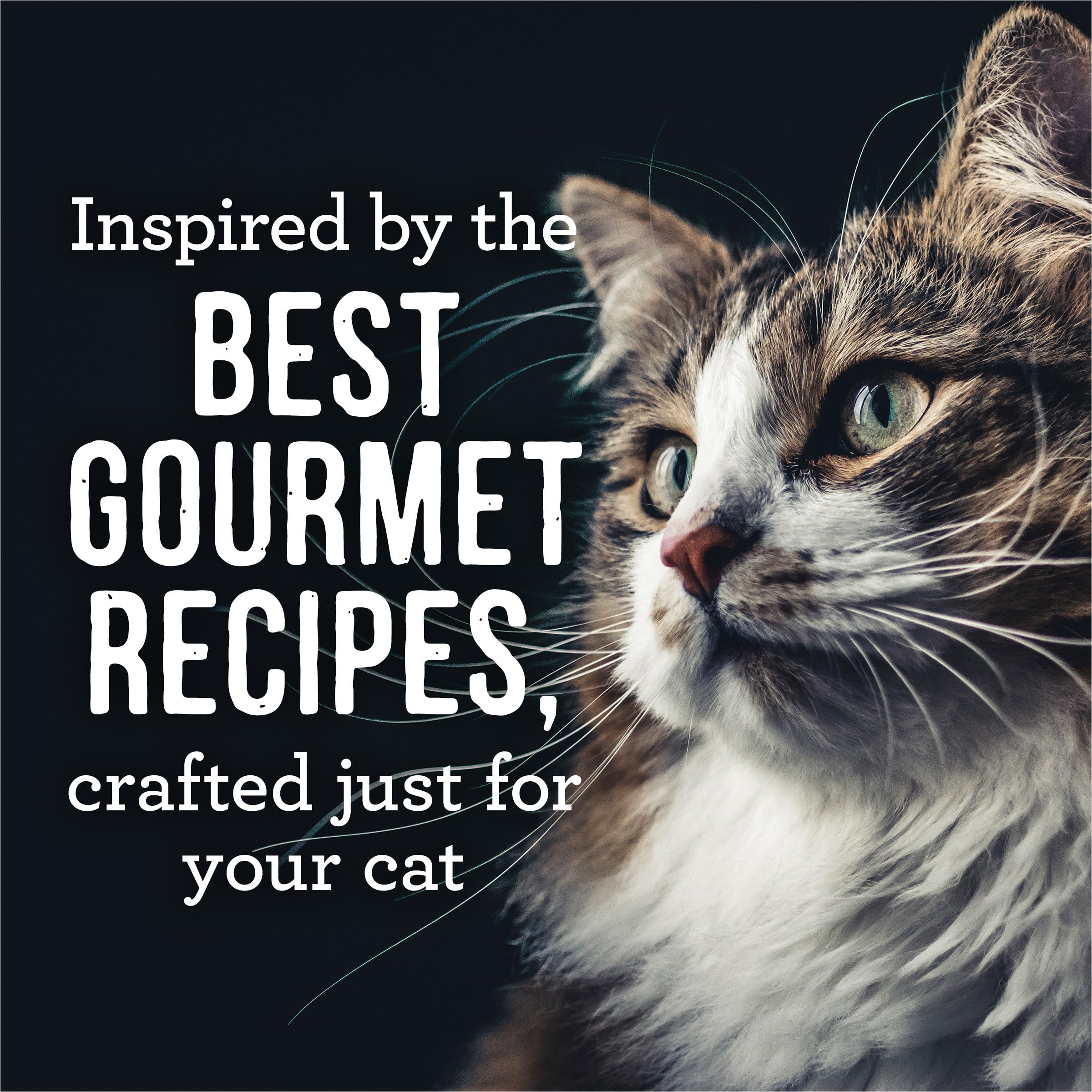 Merrick Purrfect Bistro Soirees Grain Free Natural Wet Canned Cat Food with Gravy, Chicken Divan Recipe - (Pack of 24) 2.75 oz. Cans - Image 5