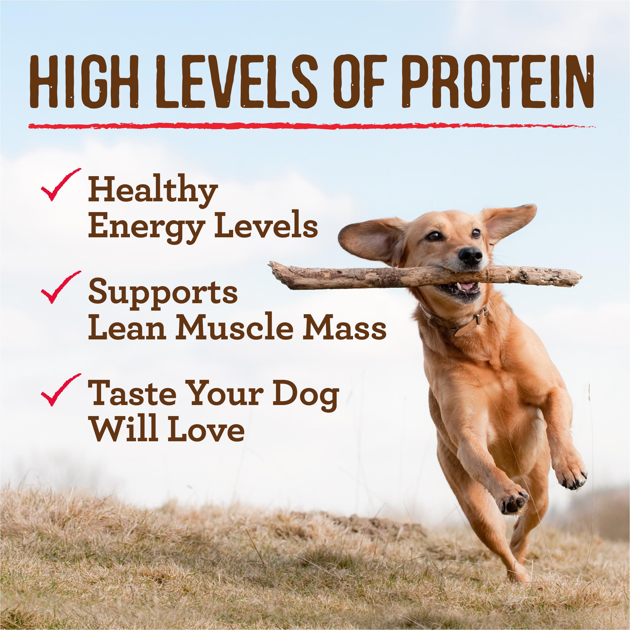 Merrick Slow-Cooked BBQ Premium Real Meat Grain Free Canned Adult Dog Food, Memphis Style With Glazed Chicken - (Pack of 12) 12.7 oz. Cans - Image 4